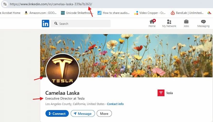 blog cover image